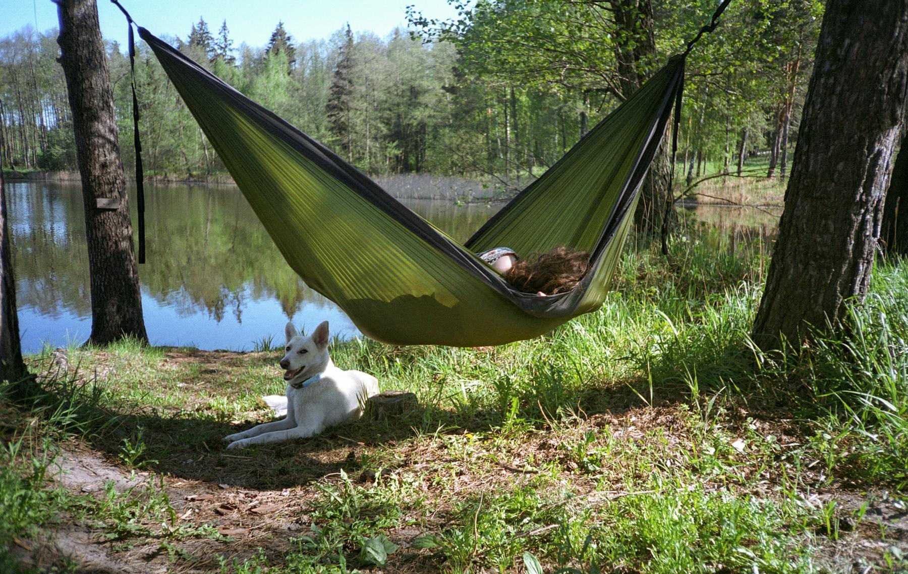 Slow living a Tisza-part alatt — lassú nyár Szeged-Csongrád-Csanádban