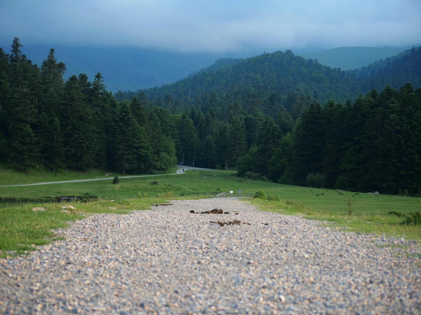 Tisza-parti és csongrádi turistakalauz és 1,3 milliárd forintos fejlesztés